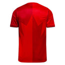 Camiseta de la selección nacional de Nigeria 25/26 blanca